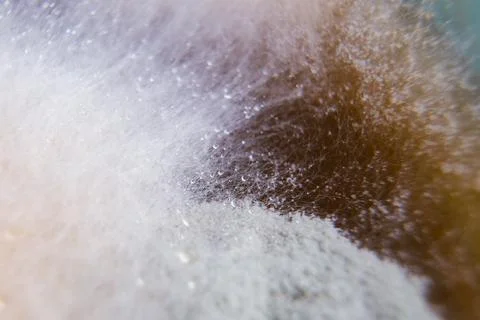 Abstract foam texture with bubbles 스톡 사진