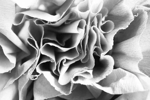 Abstract folded paper rose background Stock Photos
