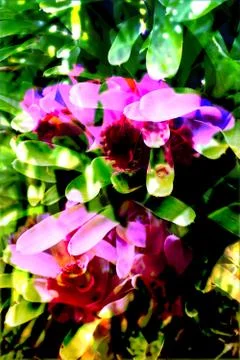 Abstract foliage background Stock Photos