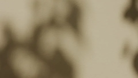 Abstract Foliage Shadows Moving on a Textured Beige Wall Background Video stock 342388099