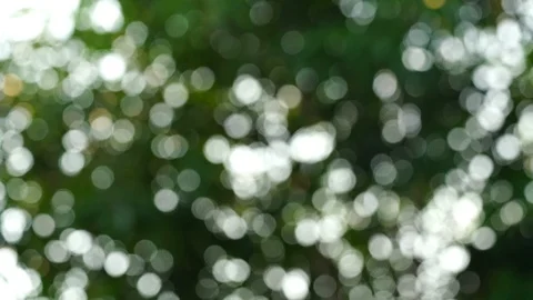 Abstract footage motion background with green natural bokeh Stock Footage 122371116