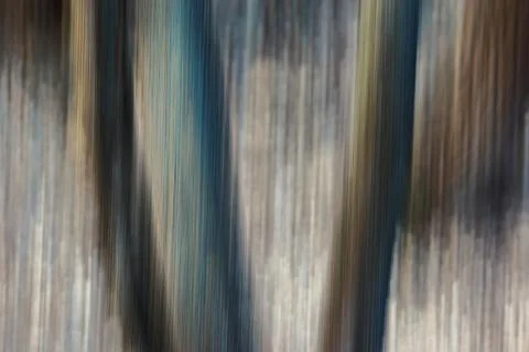 Abstract forest background with intentional camera vertical panning Stock Photos