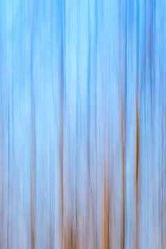 Abstract forest background with intentional camera vertical panning Stock Photos