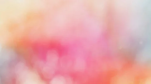 Abstract forest bokeh motion background Stock Footage 114153244