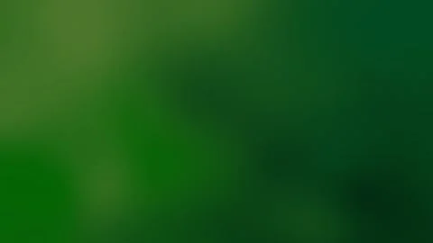 Abstract Forest Depth Gradient Background 4K Stock Footage 314806674