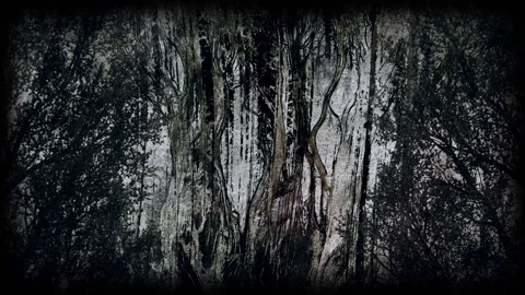 ABSTRACT FOREST IN THE EVENING Stock Footage 236581349