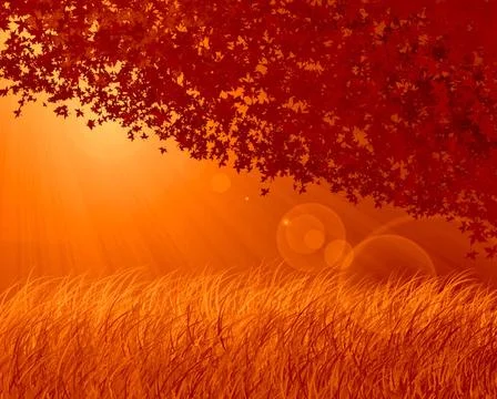 Abstract forest orange background Abstract forest background, autumn theme... Stock Photos