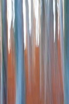 Abstract forest Stockfoto's