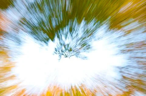 Abstract forest Foto stock