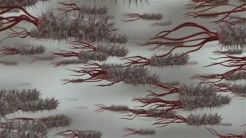 Abstract-Forest-Spiked-Trees Stock Footage 313834234