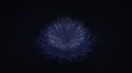 Abstract fractal art rotating blue glowing flower geometry animation HD Footage