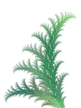 Abstract fractal background. Computer generated graphics. Plant texture. Stock Illustration