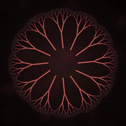 Abstract Fractal Branching Pattern Animation, Red Coral Bloom 動画素材 346283227