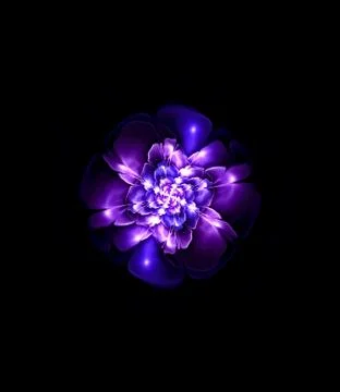 Abstract fractal computer-generated image of a flower with colorful purple an Stock Illustration