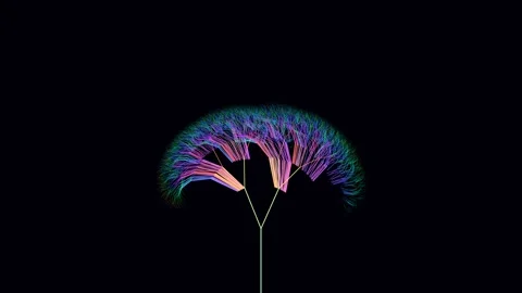 Abstract Fractal Tree Structure with Glowing Branches Animation Stock Footage 340364835