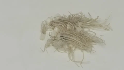 An Abstract Fragile Textile Artwork Featuring Various Textural Elements and Stockbeeldmateriaal 282783259