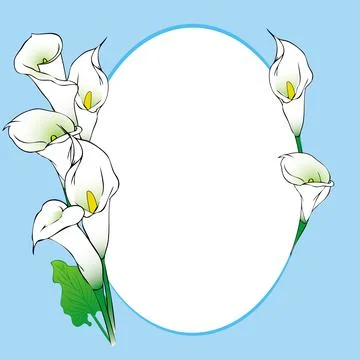 Abstract frame background with calla flowers Stock Illustration