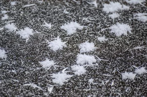 Abstract frost pattern on the road. Stock Photos