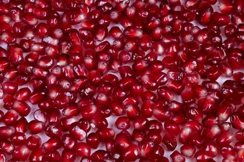 Abstract fruit seed pattern with dramatic lighting effects. Detailed macro image 스톡 사진