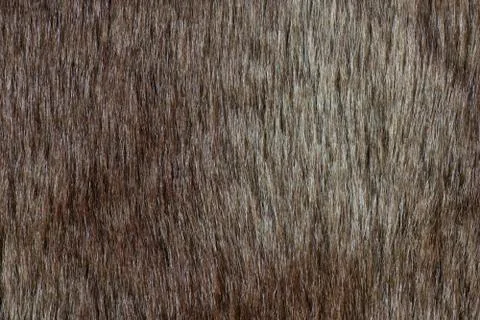 Abstract fur background (texture) Stock Photos
