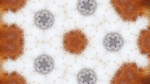 Abstract fur kaleidoscope animation background loop Stock Footage 341283053