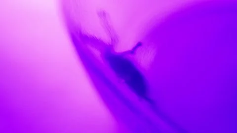 Abstract Futuristic Alien Bug  Stock Footage 205539454
