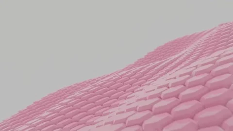 Abstract Futuristic hexagons wave technology Animation background 3d renderin Stock Footage 139923051