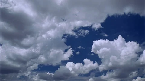 Abstract Futuristic Wireframe Grid Loop (HD) Stock Footage 201073203