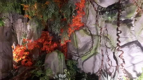 Abstract Garden on Wall Video stock 328200570