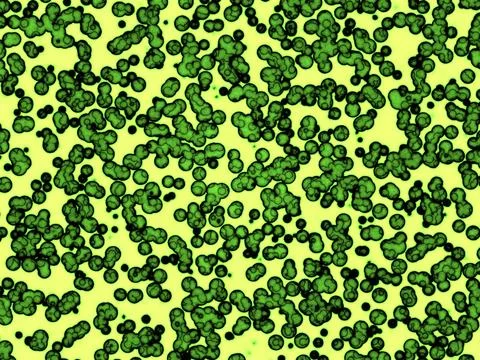 Abstract generated pattern for background and design Abstract generated pa... Stockfoto's