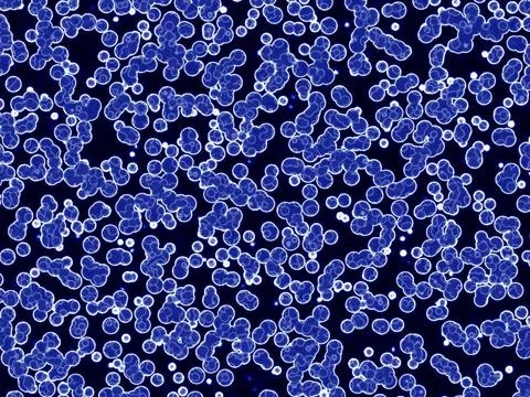 Abstract generated pattern for background and design Abstract generated pa... 写真素材