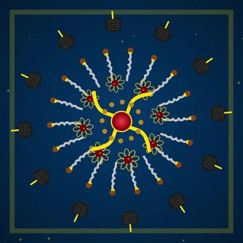 Abstract geometric background pattern, connecting nodes and lines on deep b.. 動画素材 344777207