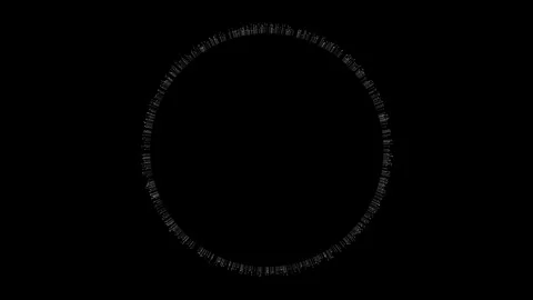 Abstract Geometric Circles with Text in Black and White Symmetry Stock Footage 341780363