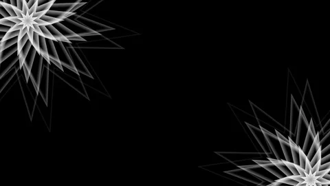 Abstract geometric design with rotating white floral patterns on a black ba.. Stock Footage 304933584