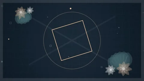 Abstract Geometric Diamond Shape Animation with Floral Elements and Subtle .. Stock Footage 346661924
