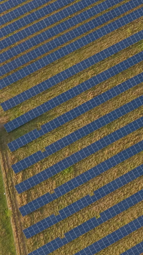 Abstract Geometric Landscape Formed By Equidistant Rows Of Solar Panels Ove.. Stock Footage 338995265
