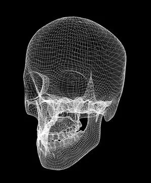 Abstract geometric mesh of a human skull. X-ray. Stock Illustration