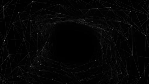 Abstract Geometric Network of Black and White Lines with Minimalist Design .. Stock Footage 341374375