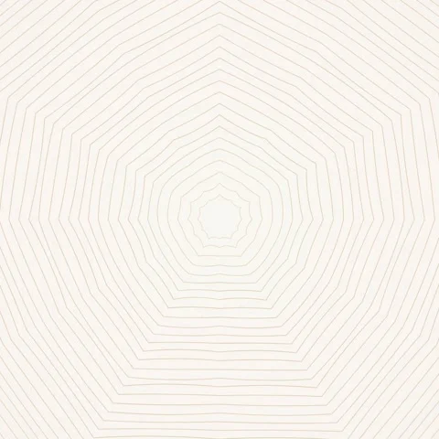 Abstract Geometric Pattern Background with Radial Lines - Minimalist Design Stock Footage 346283076