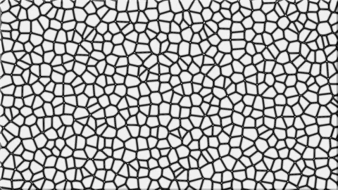 Abstract geometric pattern with black and textured white segments in cinema.. 스톡 동영상 340950067