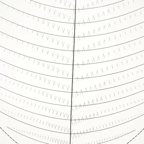 Abstract Geometric Pattern of Concentric Arcs and Lines on White Background Stock Footage 346282958
