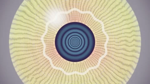 Abstract geometric pattern with concentric circles and radial lines Stock Footage 337385779