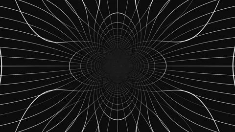 Abstract Geometric Pattern Fades In With Subtle Light Rays During Elegant B.. Stock Footage 341656181