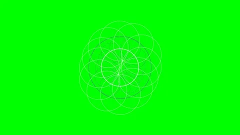 Abstract geometric pattern of intersecting white circles on a green screen Stock Footage 340267650