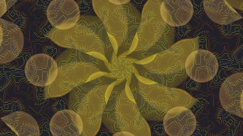 Abstract Geometric Patterns with Gold Accents. Stock Footage 330348441