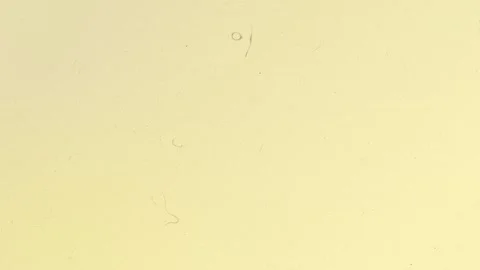 Abstract Geometric Shapes and Glowing Particles Motion Background Loop 스톡 동영상 340899693