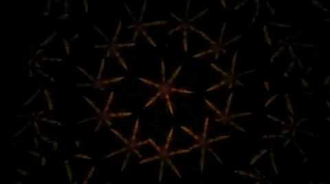 Abstract geometric shapes inside mirror kaleidoscope toy Stock Footage 38398788
