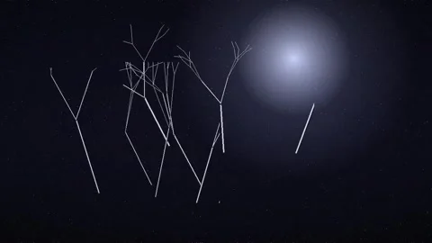 Abstract Geometric Tree Structures Growing in Night Sky Animation 動画素材 347810114