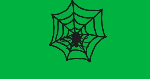 Abstract geometric web pattern rotating on transparent background, powering Stock Footage 317527347
