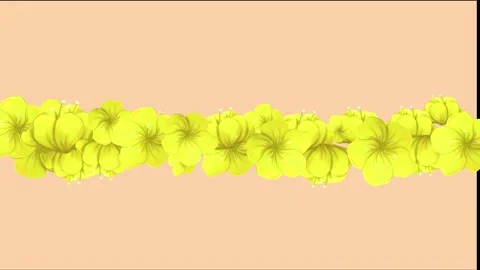 Abstract geometry video background Stock Footage 219308504